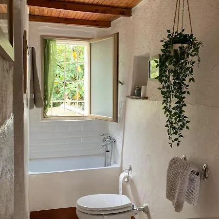 Escape To Tranquility In Tiny Woodland House Appartement Moano